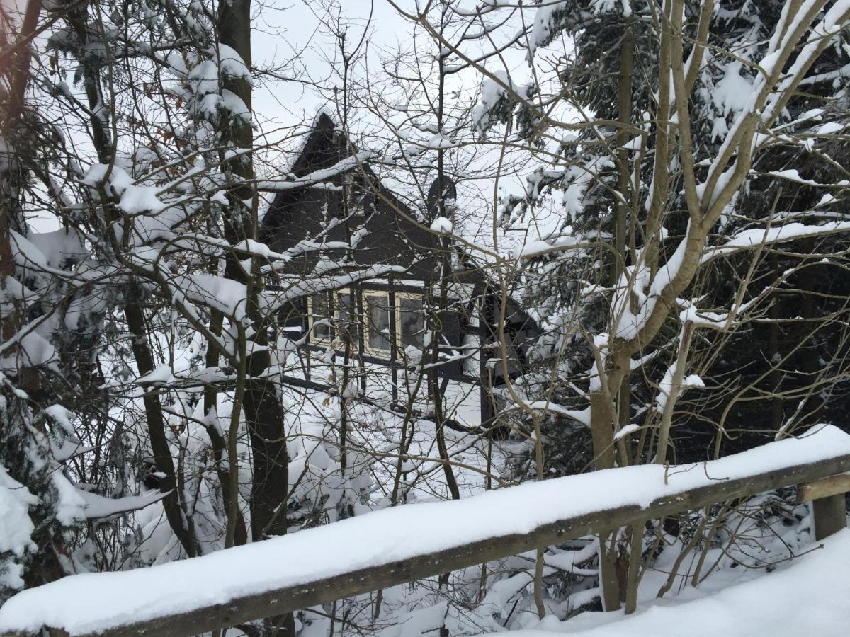 Ferienhaus Sauerlandtraum 温特贝格 外观 照片