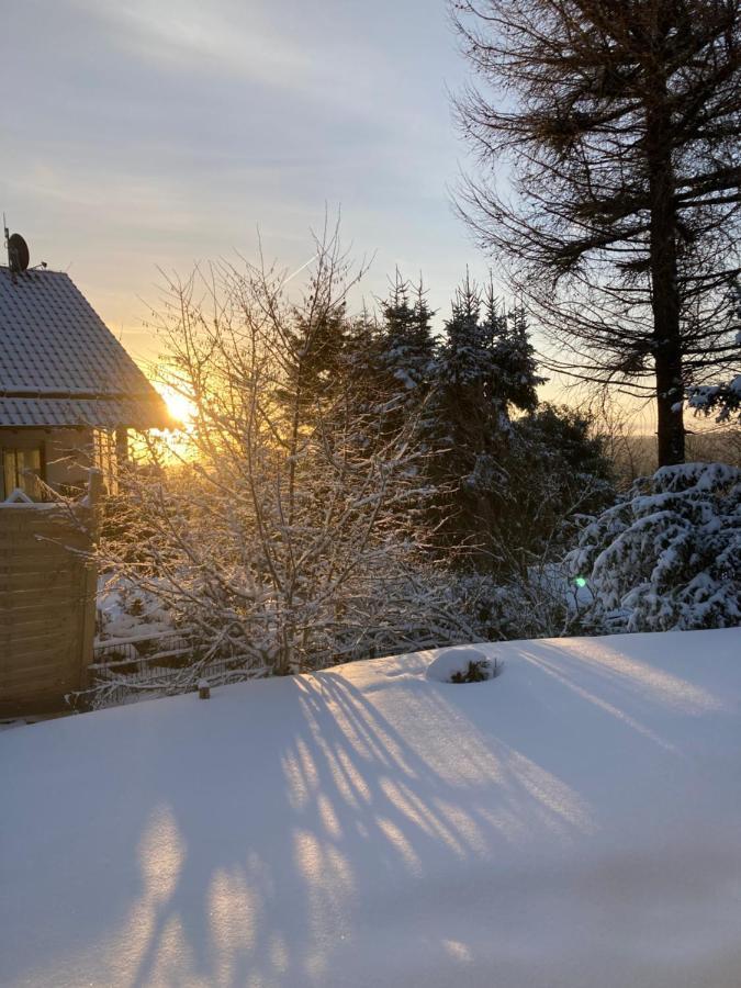 Ferienhaus Sauerlandtraum 温特贝格 外观 照片
