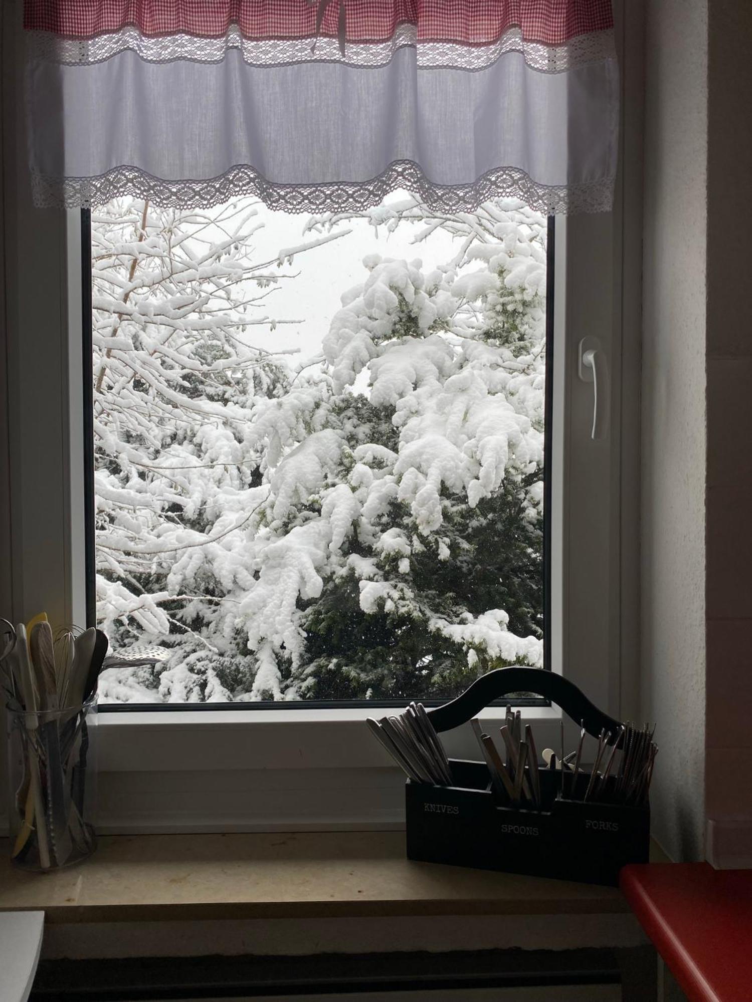 Ferienhaus Sauerlandtraum 温特贝格 外观 照片